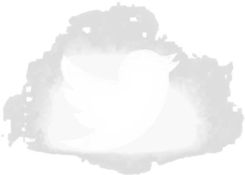 Twitter icon